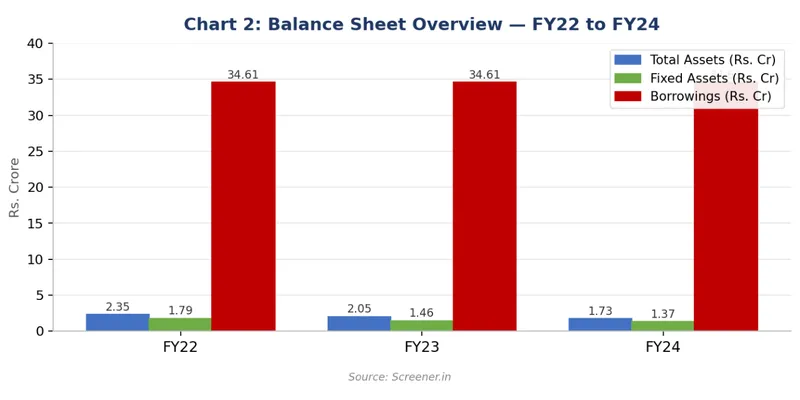 Balance Sheet Overview